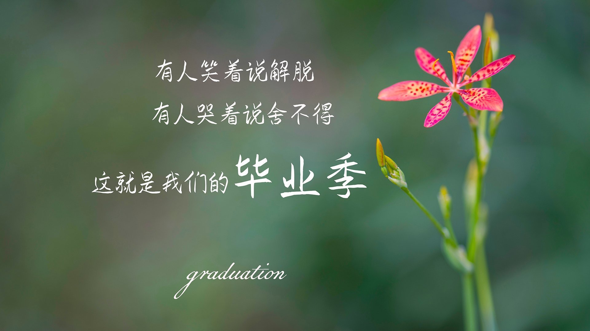_运动员比赛心得：面对强敌的心态调整_，运动员战胜自己