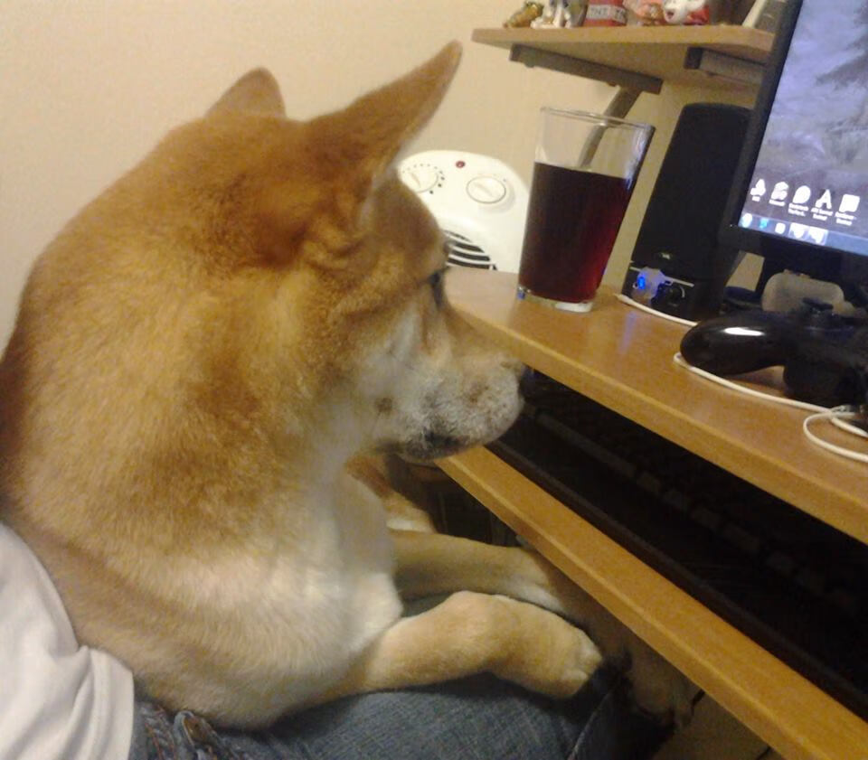 开云体育中国官网-【穆基·贝茨强势归来】道奇队巨星在关键战中表现卓越，穆基贝茨百科