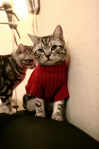 大型火锅骑行节,运动与美食的极致融合,骑马火锅